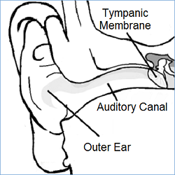 Auditory Canal Image NovaMed 2016